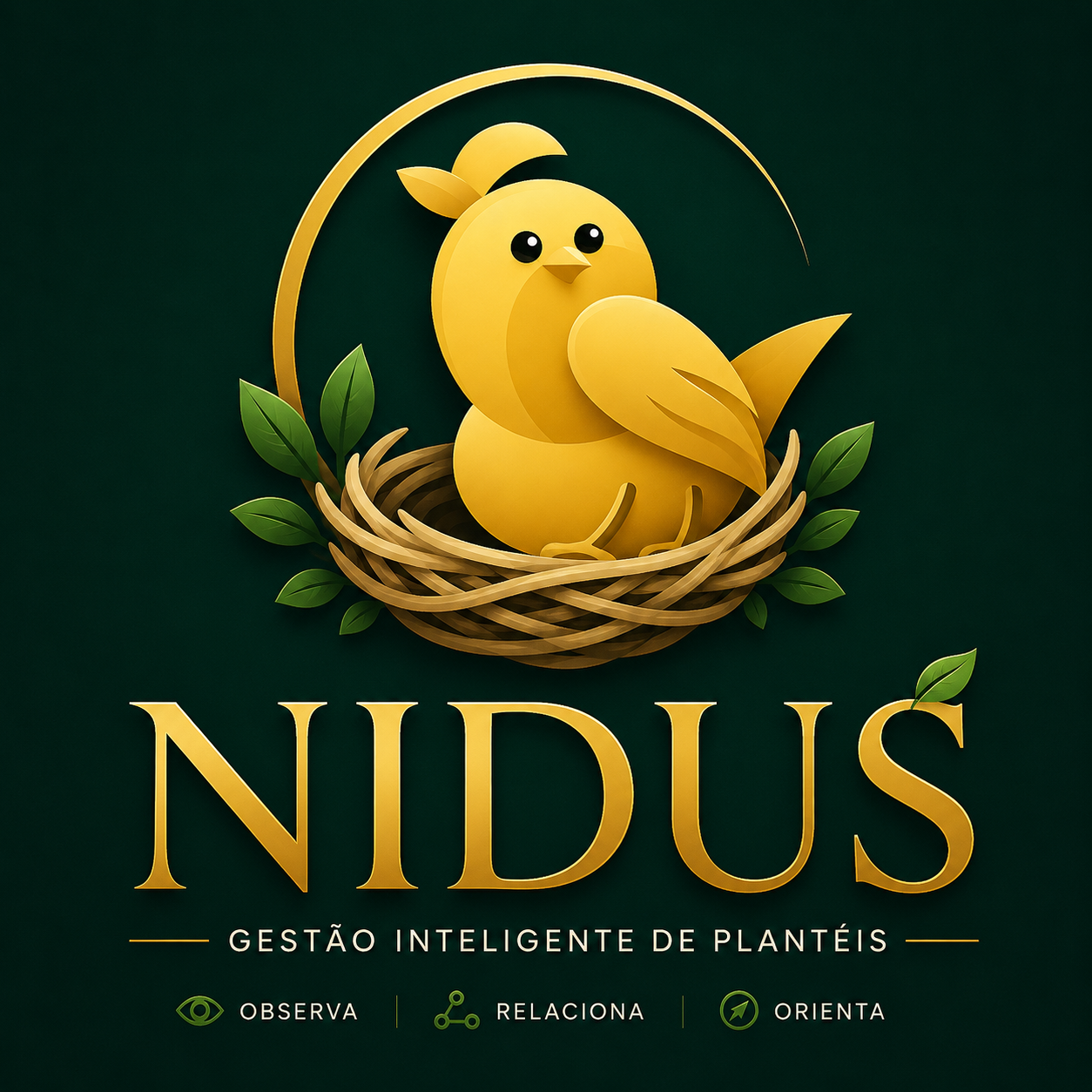 NIDUS — Observa, Relaciona e Orienta