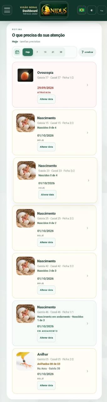 Tela do NIDUS no celular mostrando tarefas e check-ins que precisam de atenção